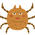 クモのイラスト