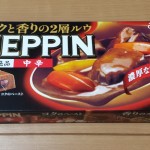 ZEPPIN(カレー絶品)のパッケージ
