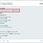 カスペルスキーのウェブ保護の詳細設定画面