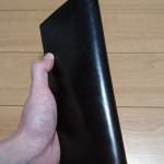 左手で持っているブライドル・インペリアルウォレット